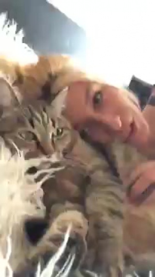 katrin tequila squeezing the cat small tits big ass milf